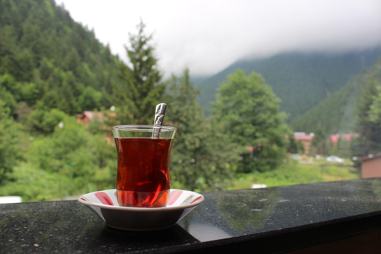 Uzungol Selale Otel Bungalow Экстерьер фото