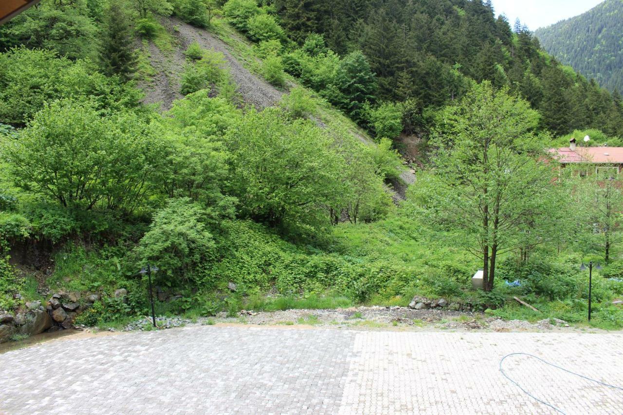 Uzungol Selale Otel Bungalow Экстерьер фото