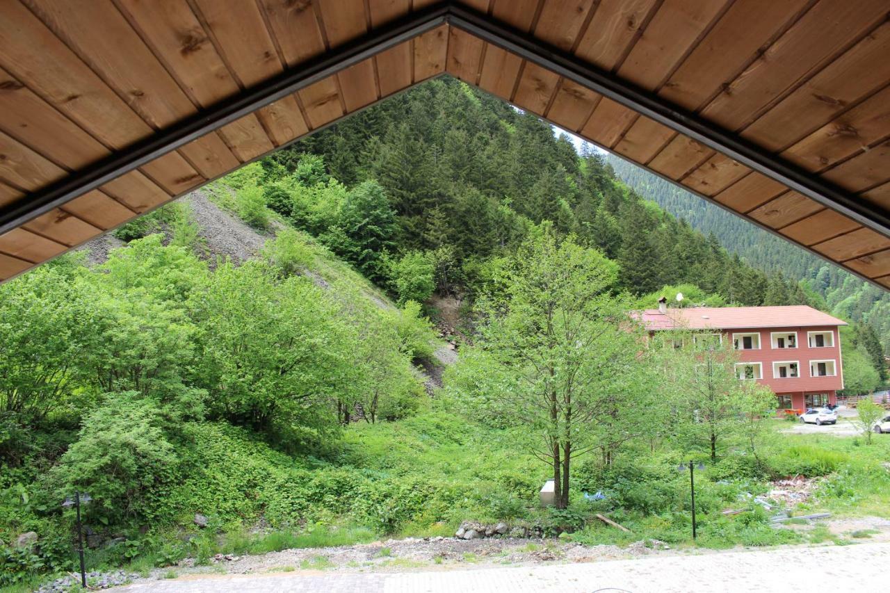 Uzungol Selale Otel Bungalow Экстерьер фото
